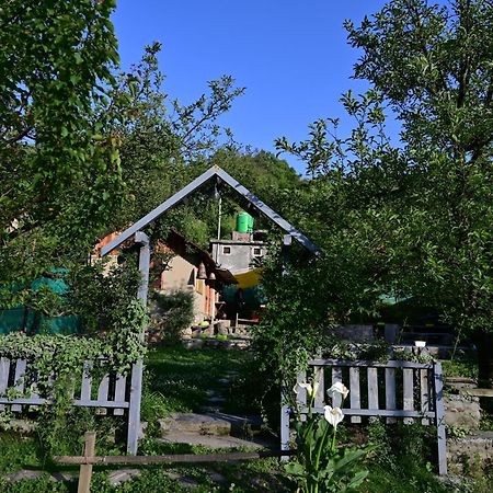 Himalayan Mud Resort Kasol Esterno foto